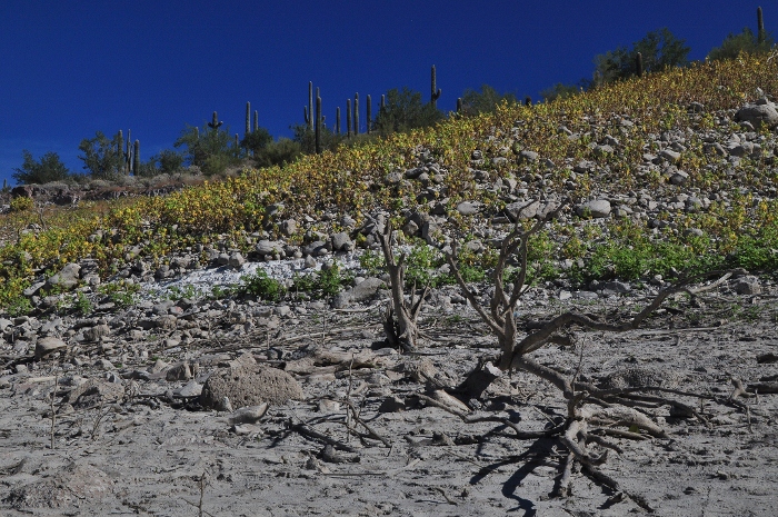 lake pleasant at low level